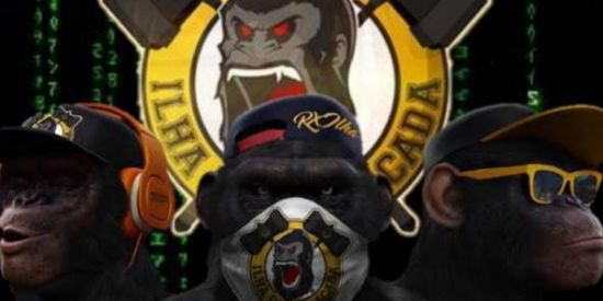 Imagem do grupo de WhatsApp 🌴ILHA DA MACACADA©🦍