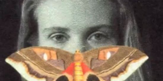 Imagem do grupo de WhatsApp O Silêncio dos Inocentes