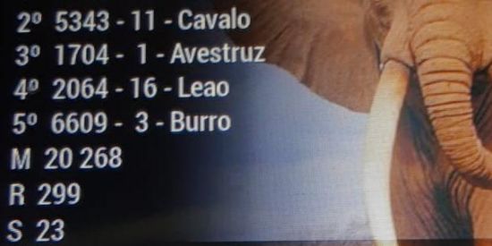 Imagem do grupo de WhatsApp Palpites gratuitos p/ vcs