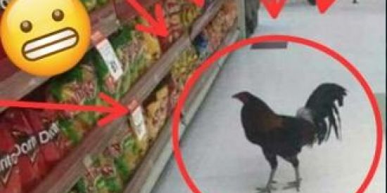 Imagem do grupo de WhatsApp ⚡🔥˸⃟˸⃟SHITBRABO˸⃟˸⃟🔥⚡