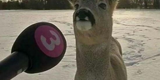 Imagem do grupo de WhatsApp NOVAS AMIZADES