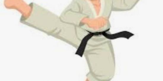 Imagem do grupo de WhatsApp Karatekas 🥋🙇🏻‍♀️