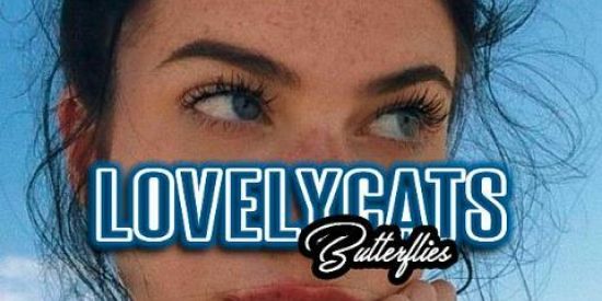 Imagem do grupo de WhatsApp ᴛ ʀ ᴇ ɪ ɴ ᴀ ᴍ ᴇ ɴ ᴛ ᴏ