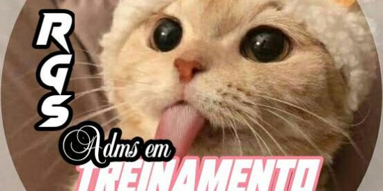 Imagem do grupo de WhatsApp Treinamento•|de adms