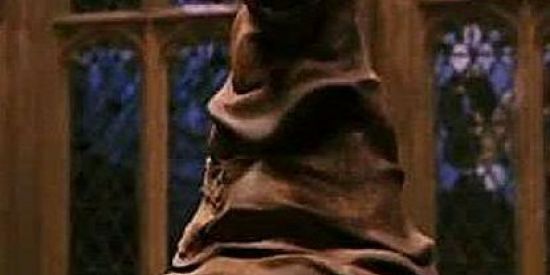 Imagem do grupo de WhatsApp 🎩Chapéu Seletor🎩