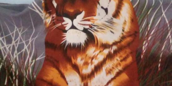 Imagem do grupo de WhatsApp ILHA DO GOVERNADOR VENDAS