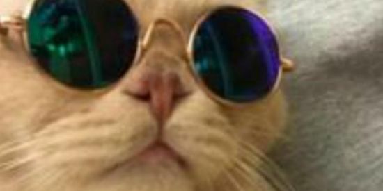 Imagem do grupo de WhatsApp Figurinhas 🗯️❣️