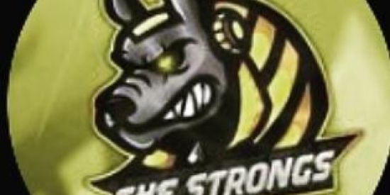 Imagem do grupo de WhatsApp Ganhar seguidores recrutamento🔥