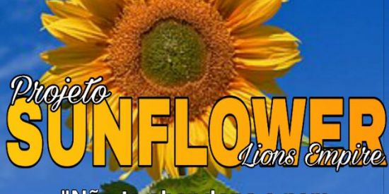 Imagem do grupo de WhatsApp 🦁lισηѕ ємριяє🦁||Sυŋғlσωєʀ🌻