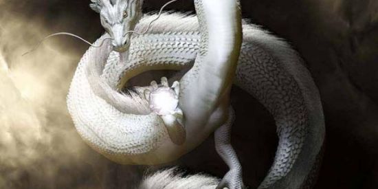 Imagem do grupo de WhatsApp ꪶSΚ͢UΤZ♘W͢ΛR♞❻❽✘