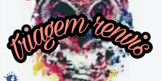 Imagem do grupo de WhatsApp triagem RNS