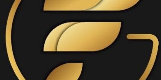 Imagem do grupo de WhatsApp INFINITY SINAIS FREE O.B.