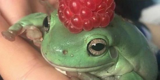 Imagem do grupo de WhatsApp Amizade ou namoro✨