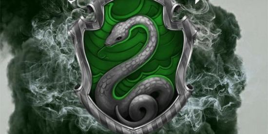 Imagem do grupo de WhatsApp Sonserina