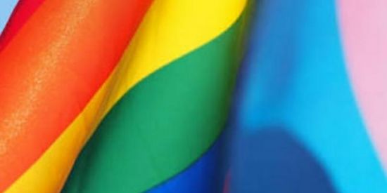 Imagem do grupo de WhatsApp Amizades e romances LGBT🏳‍🌈