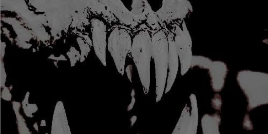 Imagem do grupo de WhatsApp ⸸SETEALEM⸸❶.⓿