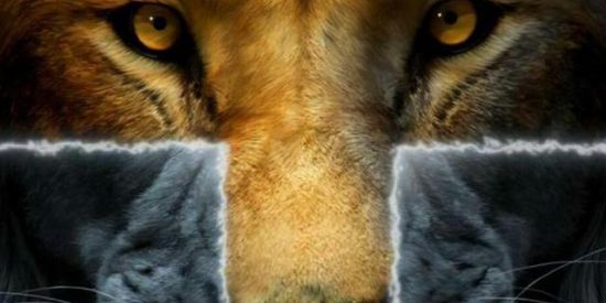 Imagem do grupo de WhatsApp ᝰ ᴍᴜɴᴅᴏ ɢᴏꜱᴘᴇʟ ꗃ