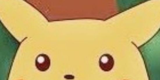 Imagem do grupo de WhatsApp Patotinha dos Memes 2.0