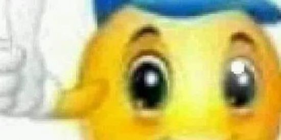 Imagem do grupo de WhatsApp SHITPOST SEM MODINHA