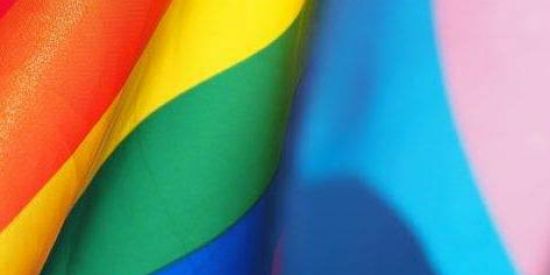 Imagem do grupo de WhatsApp Amizades e Romances LGBT🏳️‍🌈