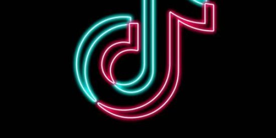 Imagem do grupo de WhatsApp Seguidores no tik Tok ♥️