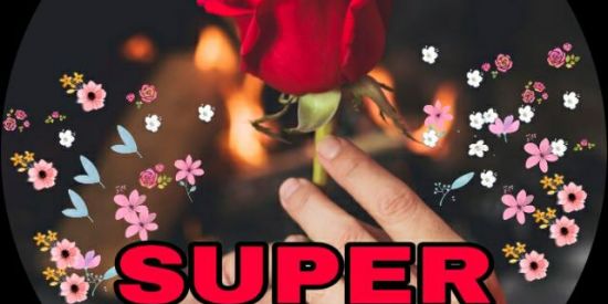 Imagem do grupo de WhatsApp SUPER MEGAS🌹