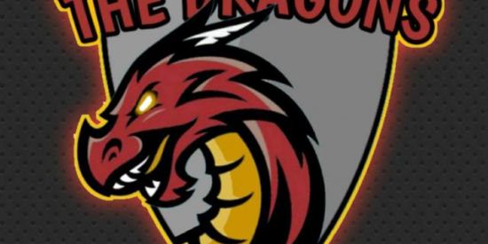Imagem do grupo de WhatsApp The dragons
