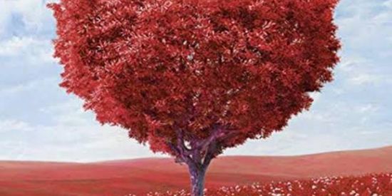 Imagem do grupo de WhatsApp AMOR DEPOIS DOS 40- SP