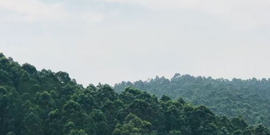 Imagem do grupo de WhatsApp Achados!