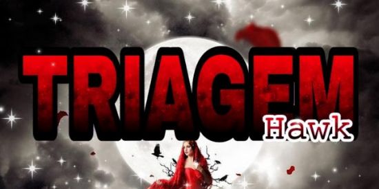 Imagem do grupo de WhatsApp ♥️●TRIAGEM HAWK●♥️