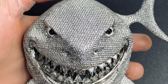 Imagem do grupo de WhatsApp TUBARãO'z🌊