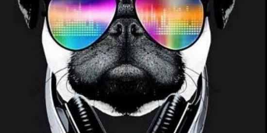 Imagem do grupo de WhatsApp ⫷a⫸⫷m⫸⫷i⫸⫷z⫸⫷a⫸⫷d⫸⫷e⫸⫷s⫸