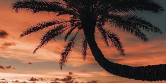 Imagem do grupo de WhatsApp Cura da Mente