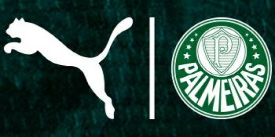 Imagem do grupo de WhatsApp Palmeiras 