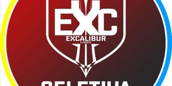 Imagem do grupo de WhatsApp SELETIVA EXCALIBUR