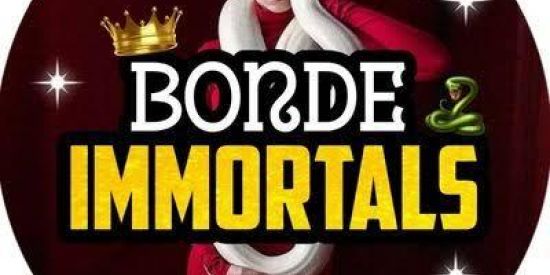 Imagem do grupo de WhatsApp TRIAGEM/BONDE TIS