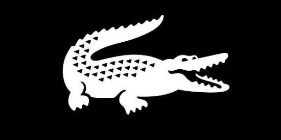 Imagem do grupo de WhatsApp 『 divulgaçao YT  01 』