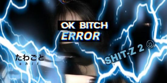 Imagem do grupo de WhatsApp Shitz