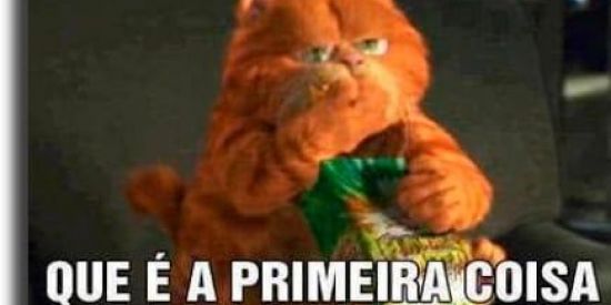 Imagem do grupo de WhatsApp Stts e afins