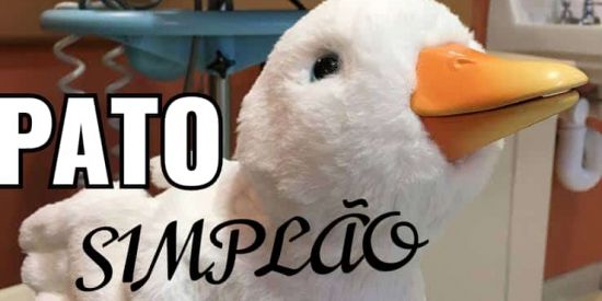 Imagem do grupo de WhatsApp shitpost da gordura