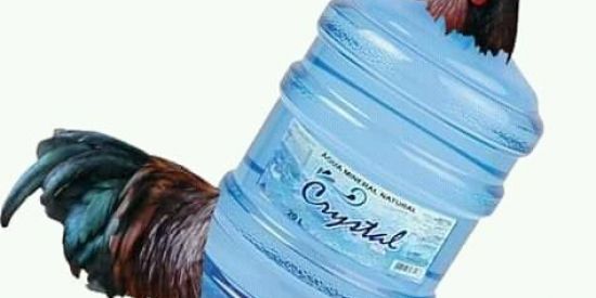 Imagem do grupo de WhatsApp Grupo dos Memes