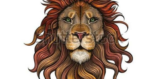 Imagem do grupo de WhatsApp Jovens Cristãos