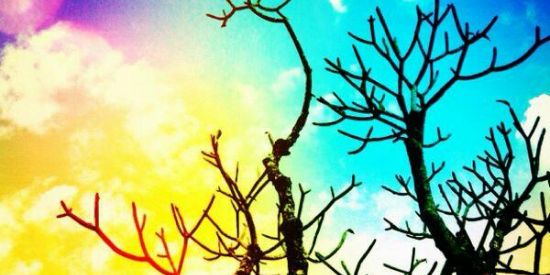 Imagem do grupo de WhatsApp 📽️ѕтαтυѕ вя📷😜