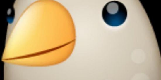 Imagem do grupo de WhatsApp Esquadrão Dos Pombos 🐦