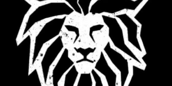 Imagem do grupo de WhatsApp Forte e Corajoso 🦁✝️💖