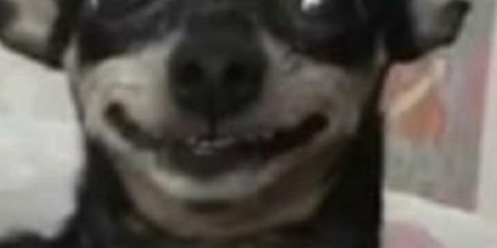 Imagem do grupo de WhatsApp ♤SUS♤