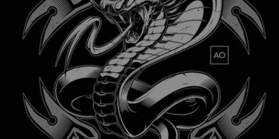 Imagem do grupo de WhatsApp 🔥 COBRA KAI OFC 🔥