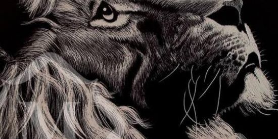 Imagem do grupo de WhatsApp ✝️Jovem cristão✝️