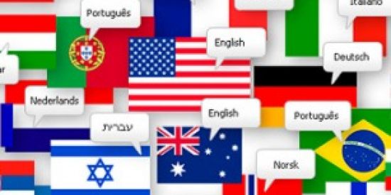 Imagem do grupo de WhatsApp Bizu Idiomas 🌐