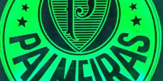 Imagem do grupo de WhatsApp Palmeiras Amor Eterno 🏆💚🤍